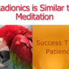 The Radionics Machine is Similar to Meditation