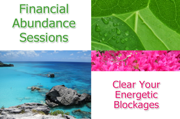 Financial Abundance Sessions